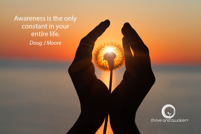 Hands surrounding the sun. Quote by Doug: Awareness is the only constant in your entire life